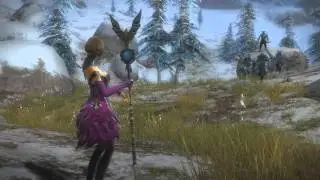 Guild Wars 2 - Comp&eacute;tences de l'Envouteur