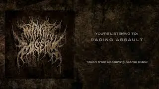 INFINITE MISERY - Promo 2023 Full tracks