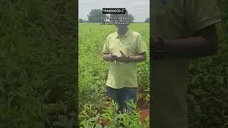🏡#Agriculture Land #Pure red Soil🌳