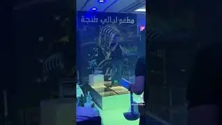#djalil_palermo#djalil_palermo#cheb_handi#ray2021 #حزن #chab_djalil