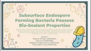 G2 - Subsurface Endospore Forming Bacteria Possess Bio sealant Properties