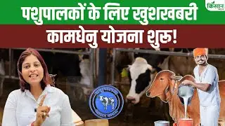 MP में डेयरी शुरू करने वालों के लिए सरकार की कमाल की योजना,पाएं 42 लाख तक की मदद!। Kamdhenu Yojana