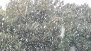 Texas Snowfall 1/9/11