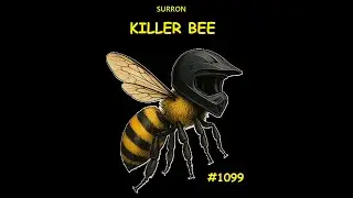 Surron Ultra Bee Racing - FMHSC Dave's Den 2025