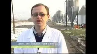 Farma curaka postala jedna od najvecih farmi za tov pilica