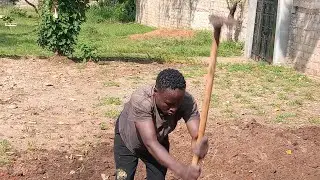 Landscaping Villa 19  @davyjnr3009 @iammarwa 
