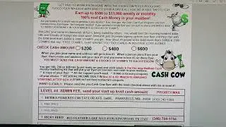The Cash Cow Flyer: Residual Income Flyer