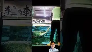 Never Mess with a Cat's Reflection! 🔥 (Aakhiri second miss mat karna) #comedy #funny #viral