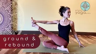Ground & Rebound