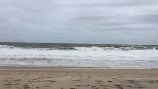 Middlesex beach Fall 2015