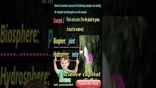 lesson 3-5 - Grade 5 - الصف الخامس الابتدائي - 2023 - المنهج الجديد - science - الترم الثاني#shorts