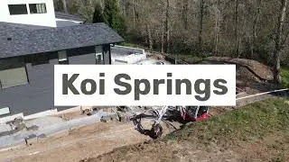 Koi Springs Project Update