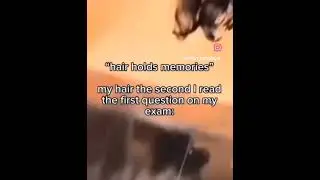 #funny #memes do not own video go support original creator