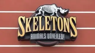 Skeletons: Animals Unveiled Museum at I-Drive 360 First Look Preview and Interview in Orlando