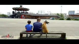 ÉDUCATION CANINE ACADÉMIE DES CHIENS NANTES CHIENS AGRESSIFS ET CRAINTIFS 2020