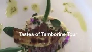 Tamborine Mountain Tour on the Gold Coast | Amazing What You Will See