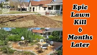 Epic Lawn Kill 6 Months Later