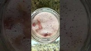 Why Make Vinegar? Easy DIY Flavored Vinegars | 5-Minute No-Fail Homemade Recipe
