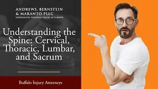Understanding the Spine: Cervical, Thoracic, Lumbar, and Sacrum | Buffalo Car Accident Lawyer
