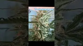 #timeback2pac #grow #follow #educational #medical #medicine #legal
