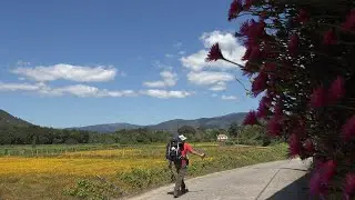 Camino Português, may 2025
