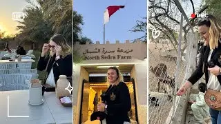 يوم في مزرعة سدرة الشمال  قطر🥰🥰A Day at Sidra Al Shamal Farm Qatar