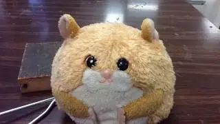 The Hamster Who Broke The Thingymabobber