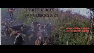SAISON 20/21 ~ GROS FERMES DANS UN BIOTOPE SERRE ! ~ NOACHASSE22