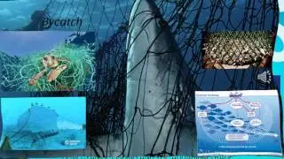 Destructive fishing practices project for oceanography class