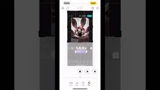 How to use standard and pro features for free in CapCut