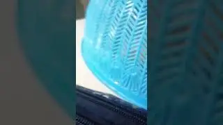 #bestanimals