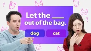 What does 'Let the cat out of the bag' mean? | English Idioms with Alex & Gina