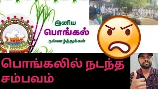 கிராமத்து பொங்கல் எப்போதும் சிறப்பு  | 2024 | வடக்கூர் #pongalspecial #happypongal
