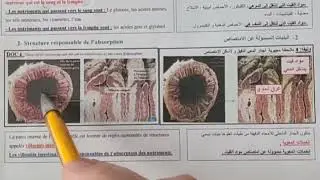 l'absorption intestinale (3AC) الامتصاص المعوي