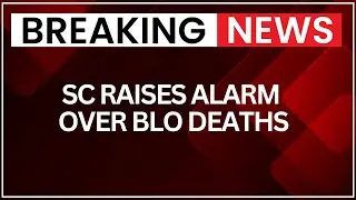 Nationwide SIR: SC Declines to Blame ECI for BLO Deaths | NewsX