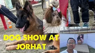 Dog Show at Jorhat 🐕 | Amazing Breeds & Fun Moments | Assam
