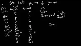 Assessing the 390 facts - the making