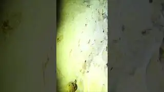 WARNING - Cave Diving is highly addictive 😈