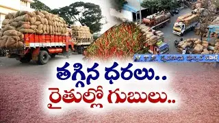 గిట్టుబాటు ధర లేక మిర్చి రైతు విలవిల | Mirchi Farmers Struggle | Guntur