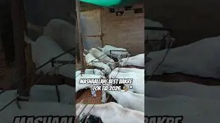 🐐 Business Gotfarm Top Quality Bakre | Eid 2026 Special