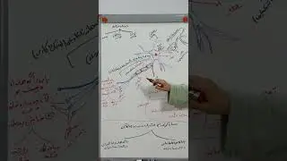 بەندێ چارێ : پشکا ئێکێ دەمارە خانە