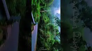 😍BEAUTY OF YERCAUD🌍 #viral #travel #bikevlog #yercaud#shorts #nature