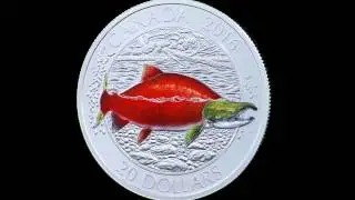 1 oz. Fine Silver Coloured Coin &ndash; Big Fish Series: Sockeye Salmon