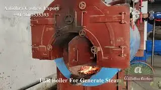 Hi-Tech Automatic Cashew Processing Plant Mfg. By  Aalidhra Cashew Export +91 7600535393