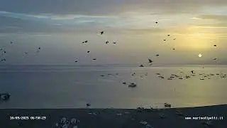 Marina di Patti: Albe dal 01 al 30 Settembre 2025