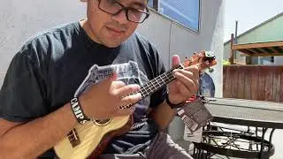 Kala KA-SSLNG Long Neck Soprano Ukulele Unboxing and Sound Sample