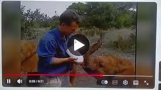 Paragon Entertainment Corporation/Earth Creatures/Maryland Public Television/MPT PBS (1995/2024!)