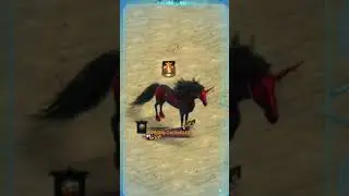 Clash of kings: Sea Rally Edition