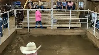 Elkhart Horse Auctions is live! Horse sale 9/20/25