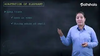 ADAPTATION OF ELEPHANT | 7. Weather, climate and adaption of animal to climate | Class 7